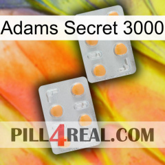 Adams Secret 3000 25